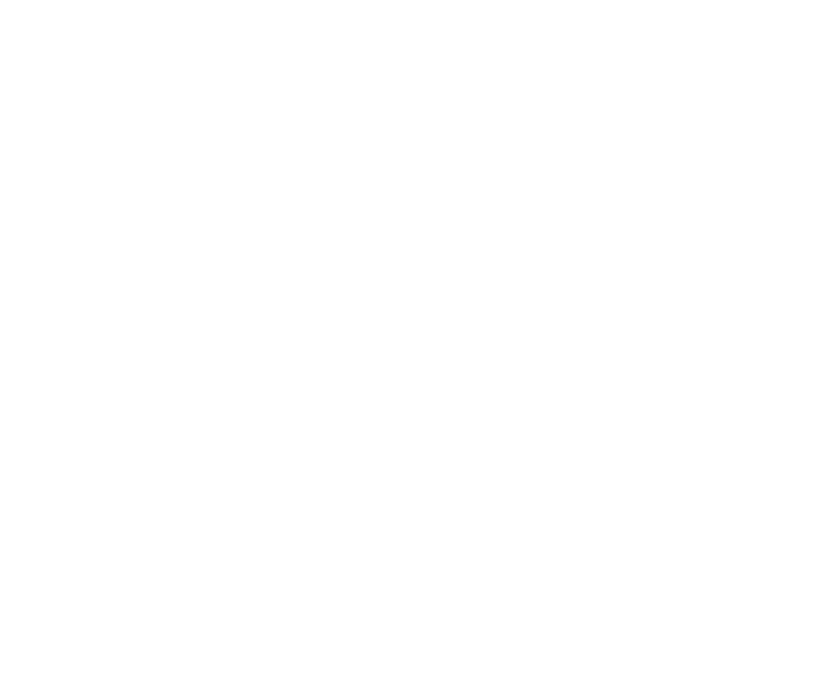 Full white logo Araujos.png